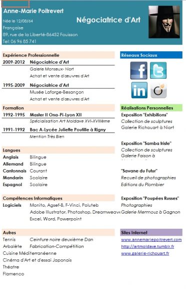 modele cv excel